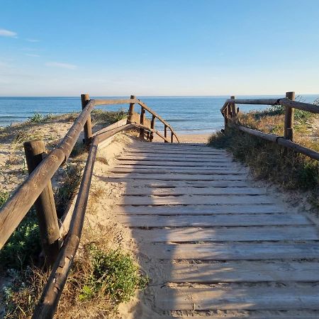 Hello Oliva Beach Alter 外观 照片