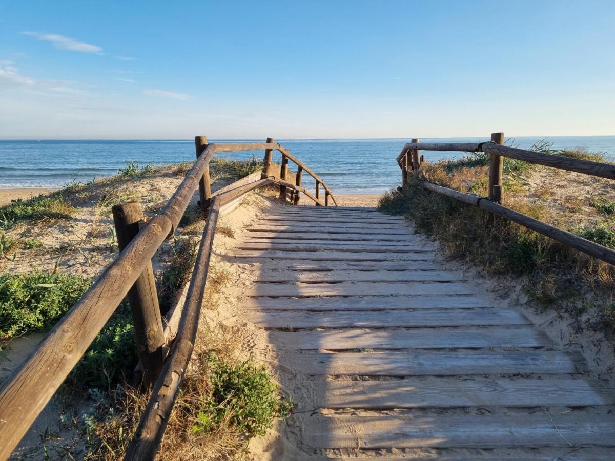 Hello Oliva Beach Alter 外观 照片